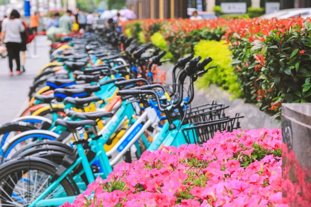 成都租房哪个区最便宜,成都租房攻略50个小技巧