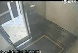 蓝可儿案件解说,蓝可儿世纪悬案解说