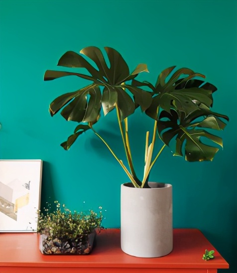 睿石除甲醛是真的吗,睿石除甲醛有用吗