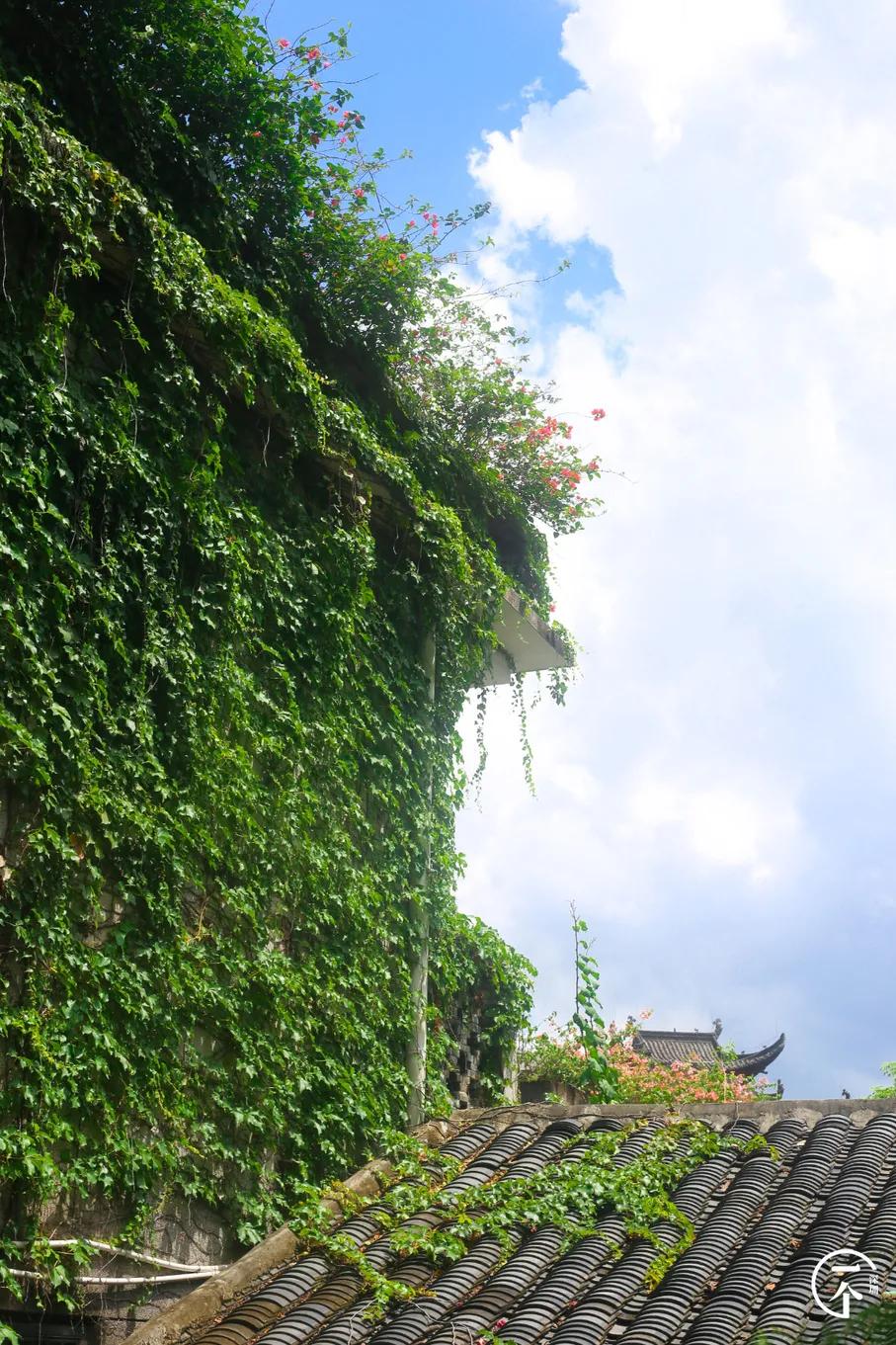 深圳甘坑客家小镇要门票吗,深圳客家小镇在什么位置