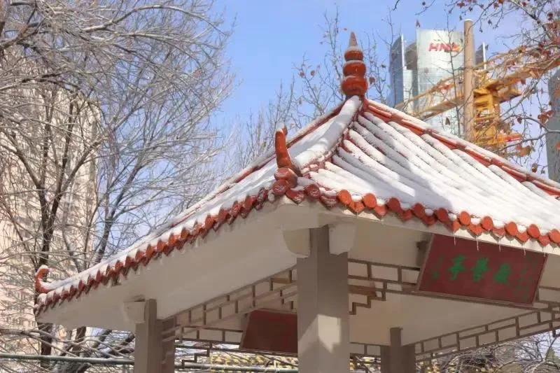 天津市高级中等学校,天津市锐华高级中学