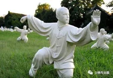 陈氏太极有哪些基本功,陈氏太极功夫架实战