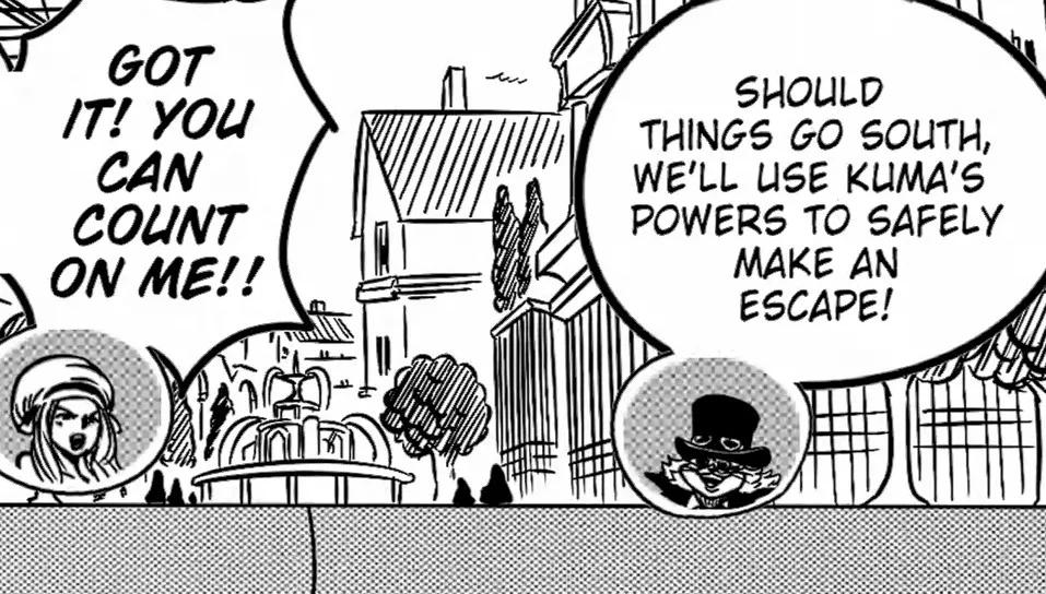 海贼王番外篇之营救暴君熊的计划