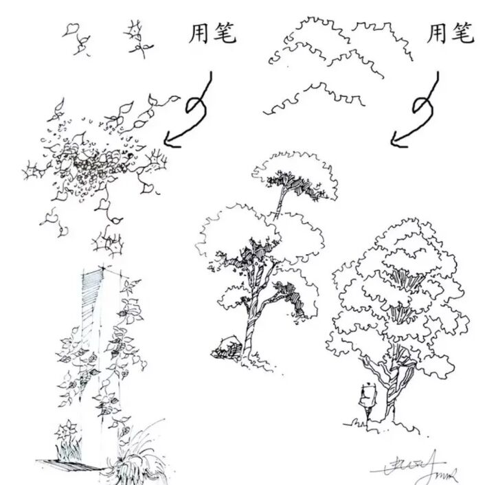 入门风景速写1000例临摹图,风景速写教你超简单的树木画法