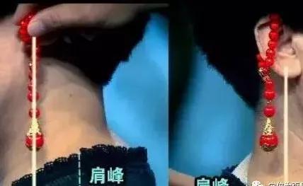 身体各部位的寿命对照表,身体各部位寿命对照表