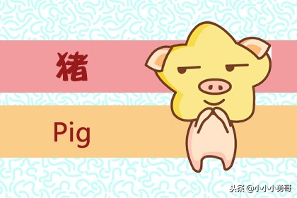 生肖婚姻配对解说大全,生肖婚姻配对对错了会怎样