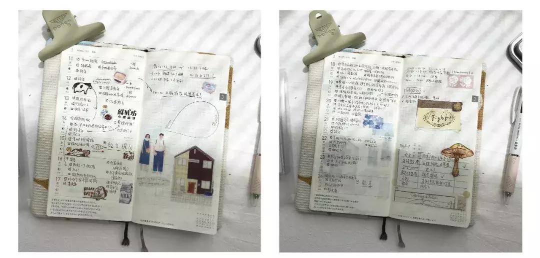 买手帐本指南,避坑指南买米面