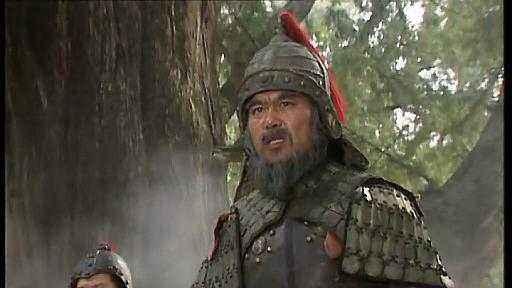 邓艾和姜维哪个进武庙,为何邓艾能入武庙而姜维不行