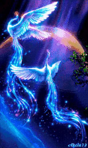 这是我见过最美的风景吗,这是我见过的最美的风景英语