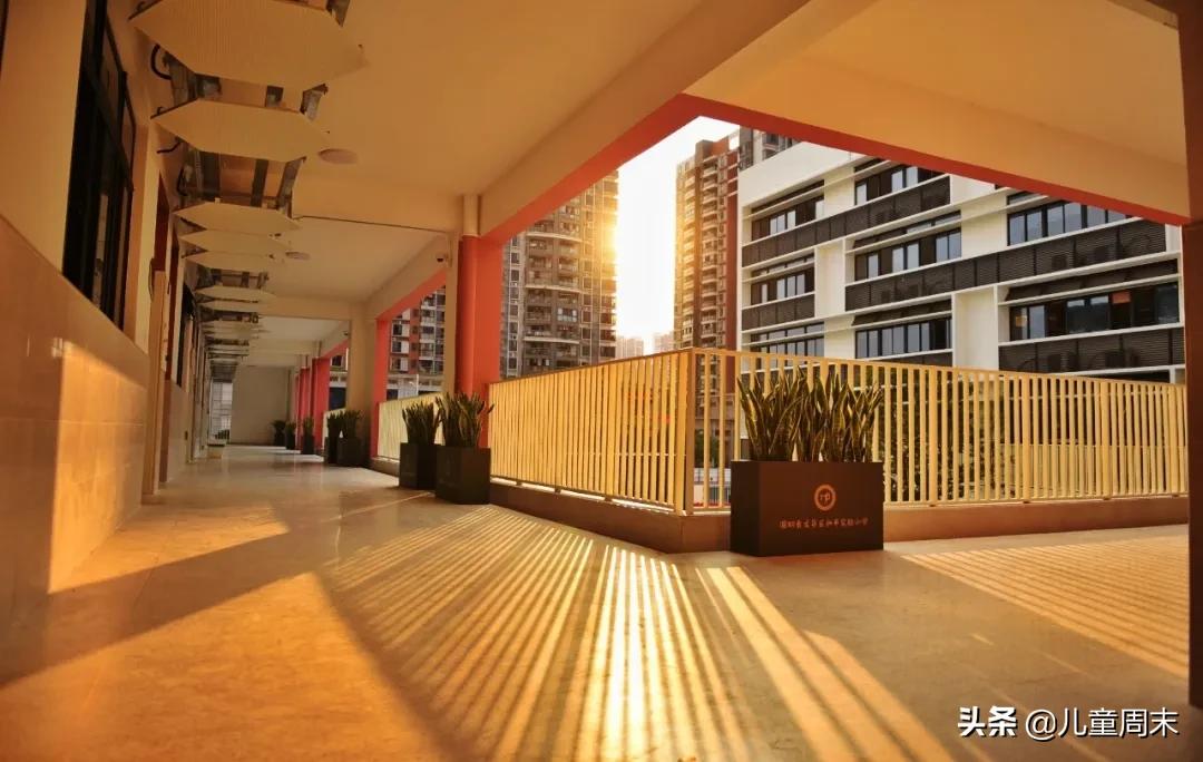 深圳龙华这所“未来学校”,是每个孩子都向往去读的学校