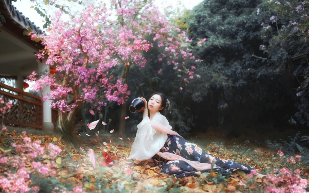 我不会写诗原创,我从来不会写诗