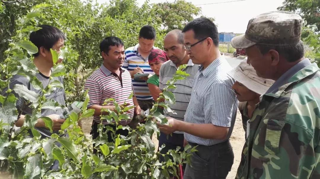 培养出50位中国院士的人是谁,培养了27位院士的中国天才