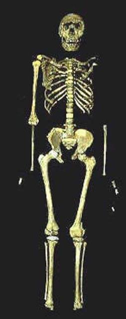 世界上最大的咸水湖英文,世界最大的咸水湖是什么