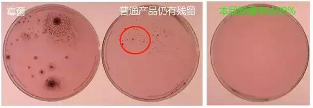 洗衣机密封条上的霉点怎么去除,冰箱门封条长黑霉怎么处理