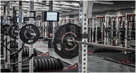 减脂增肌训练计划一周计划表,女人新手徒手增肌训练计划