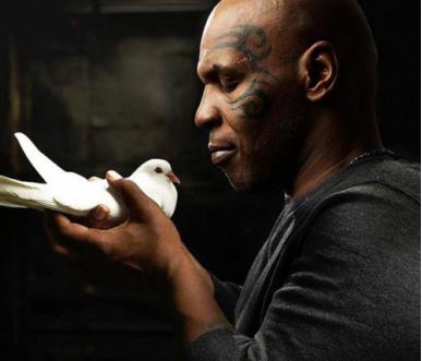 内外分析,李小龙短暂辉煌的一生