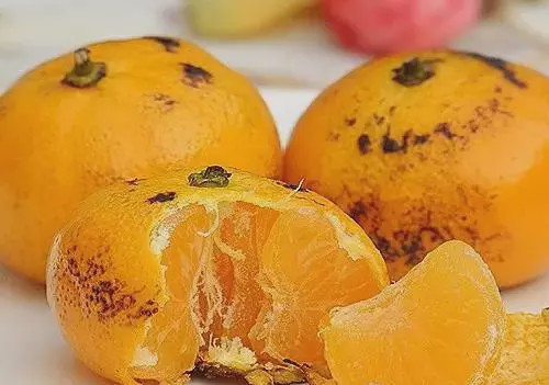 土蜂蜜加白萝卜有什么功效,萝卜煮蜂蜜的功效与作用是什么