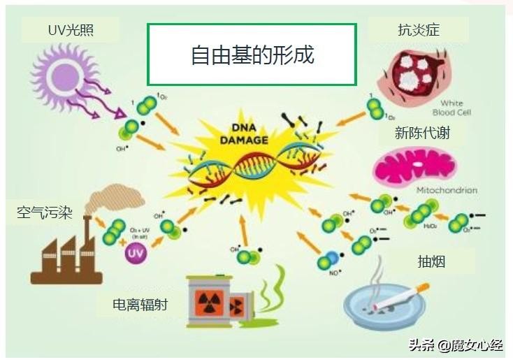 a醇产品哪个更好,a醇的产品哪个好