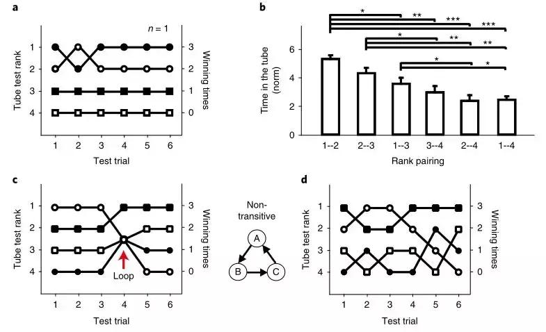 中国心理障碍患病率,2020中国精神障碍发病率