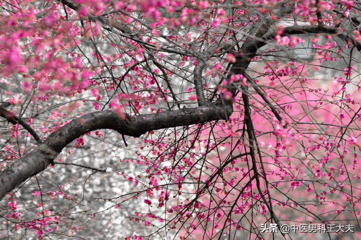 肾阴亏虚湿热内蕴做什么运动,肾阴虚下焦湿热怎么治