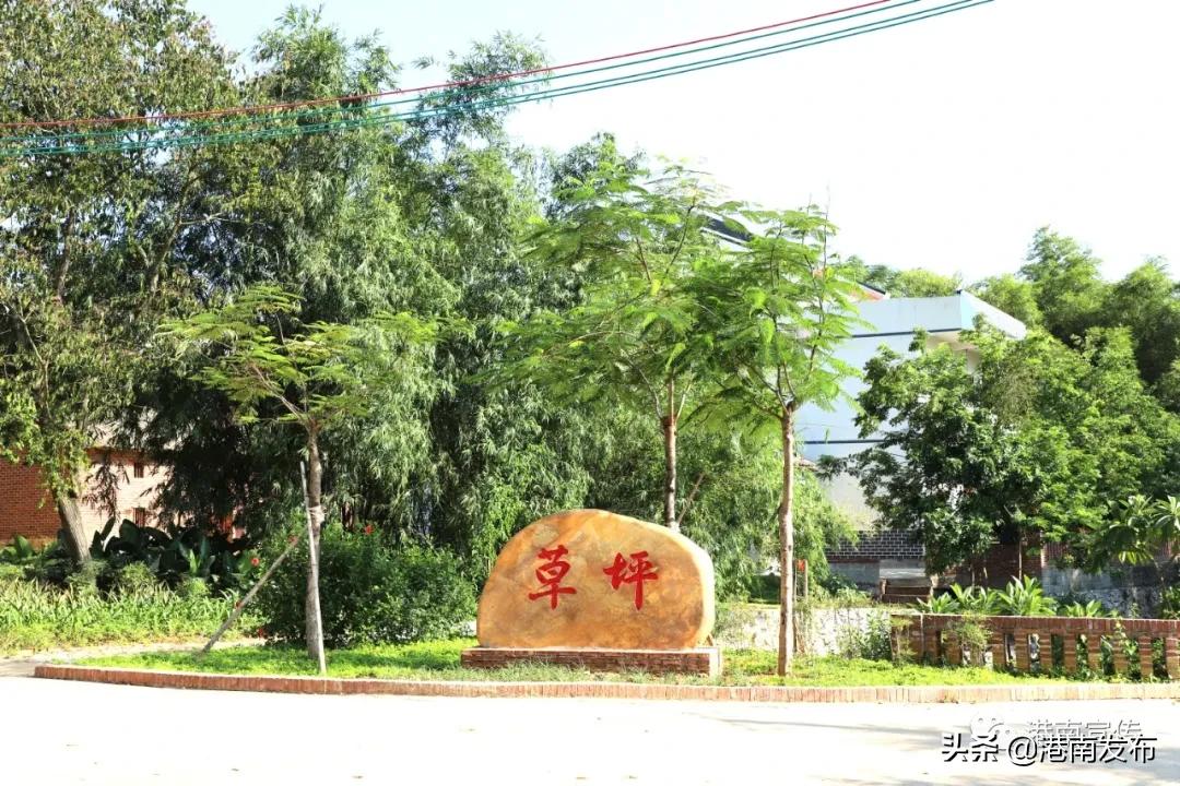 鑽夊湴浼犲,浼犲鑽夊潽