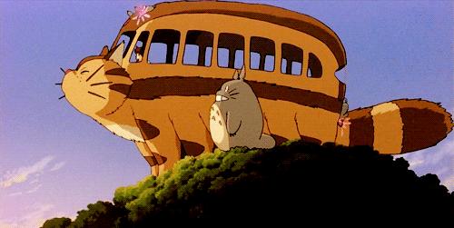 周末喵力四射!国际品猫汇,来吸猫!卢米埃影城18元看龙猫!