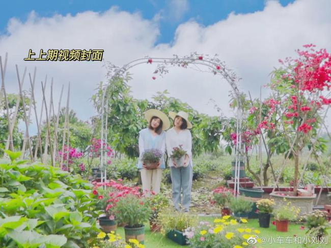 29岁成都女孩“组团养老”！辞职后和闺蜜在乡下爆改350㎡大房子