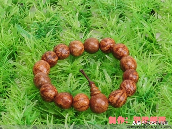菩提子种类与寓意,手把件菩提子种类