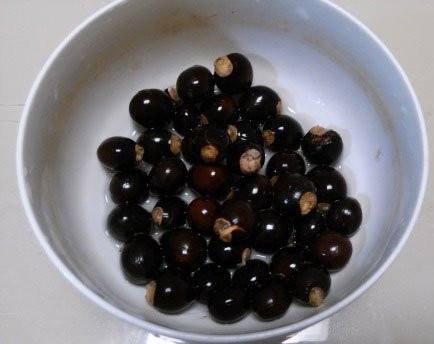 盆栽龙眼能长出果实吗,龙眼直接扔土里面可以种出来吗