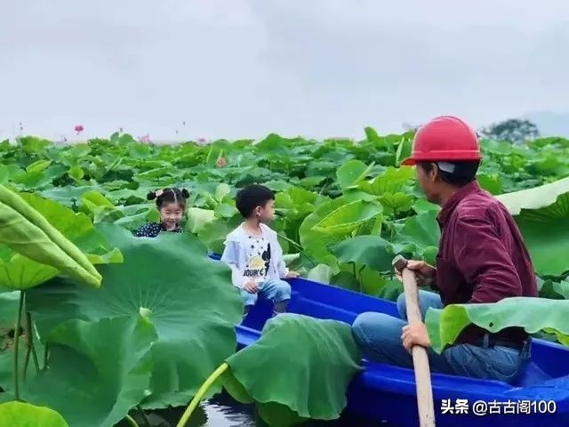 绍兴诗意民宿酒店式公寓,绍兴诗意