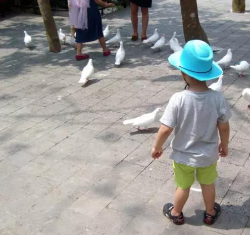 宝宝7个月就走路,担心以后O型腿?骨科医生教你3个方法自查