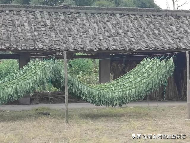 一条“抖音”视频，牵扯出一桩售卖假冒雪茄烟案件