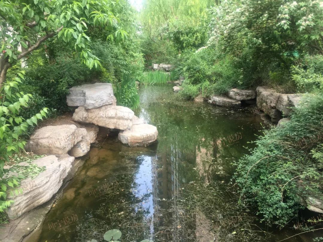 长安区哪个楼盘值得入手,长安板块楼盘有哪些好点