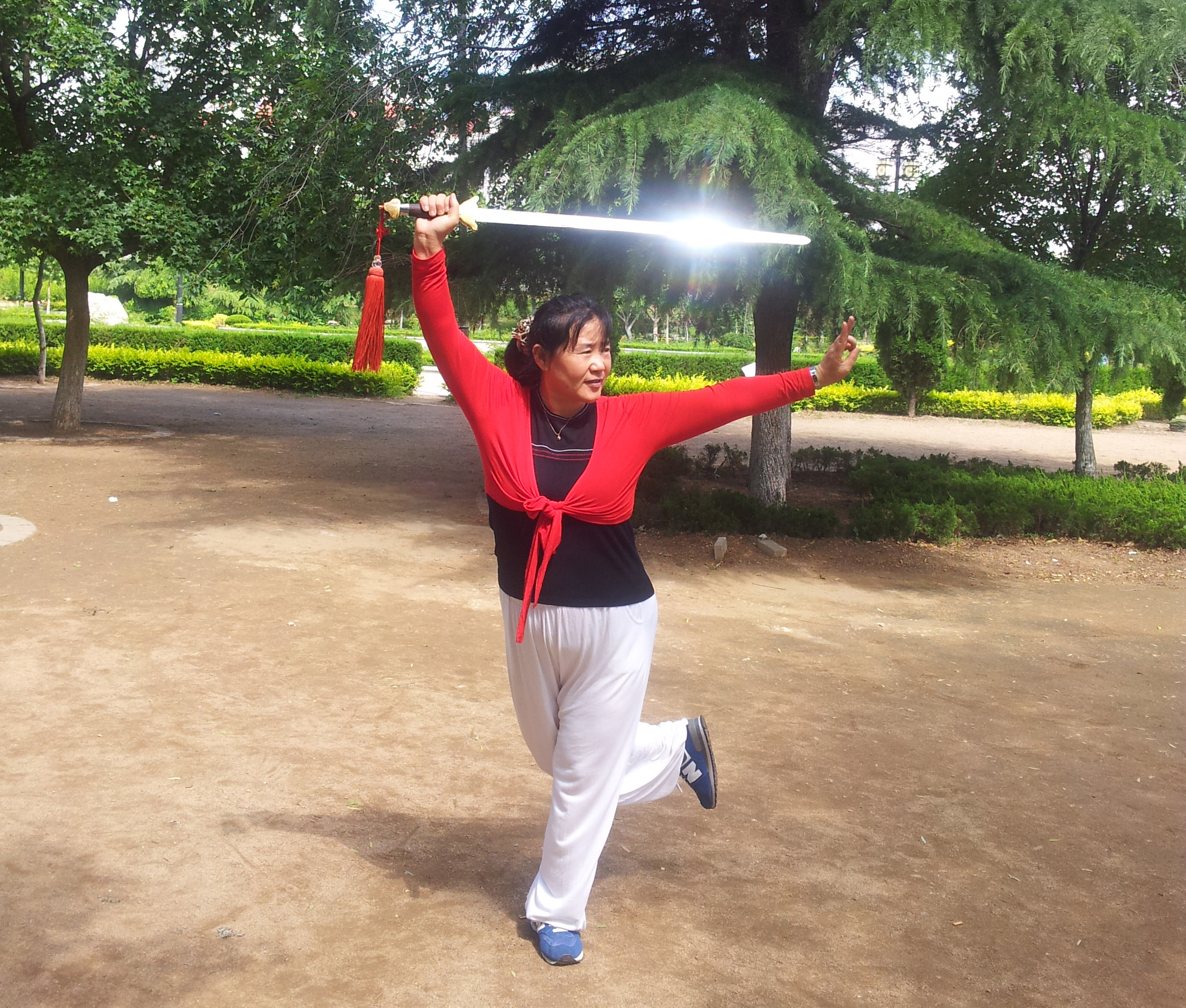 杨式28式太极拳传统动作演示,怎样学练杨式24式太极拳