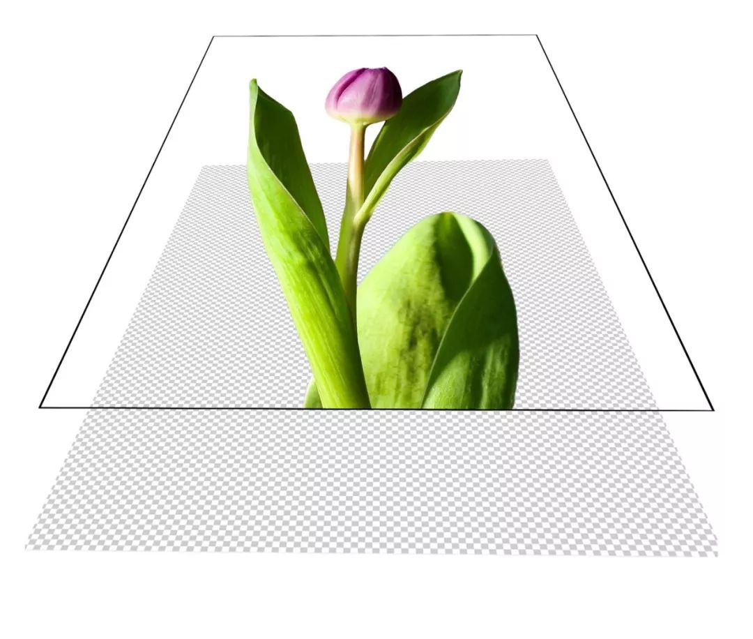 photoshop抠图去白边,photoshop教程抠图章