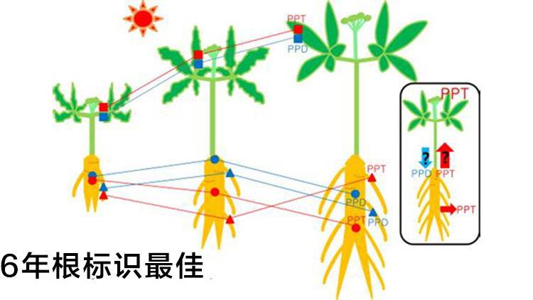 营养补充液类别,《营养补充剂》推荐
