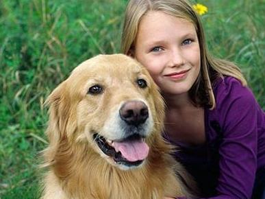 最旺主人的宠物狗品种有哪些,最受欢迎的小型宠物狗排行榜