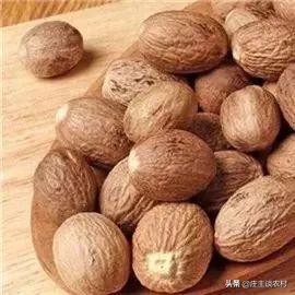 香料的正确使用方法和注意事项,卤水加桂皮的正确方法