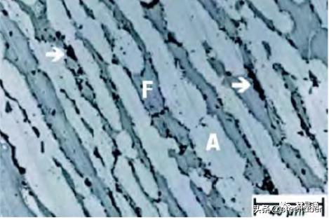 中国双相不锈钢的现状和发展,双相不锈钢比304不锈钢谁更耐腐蚀