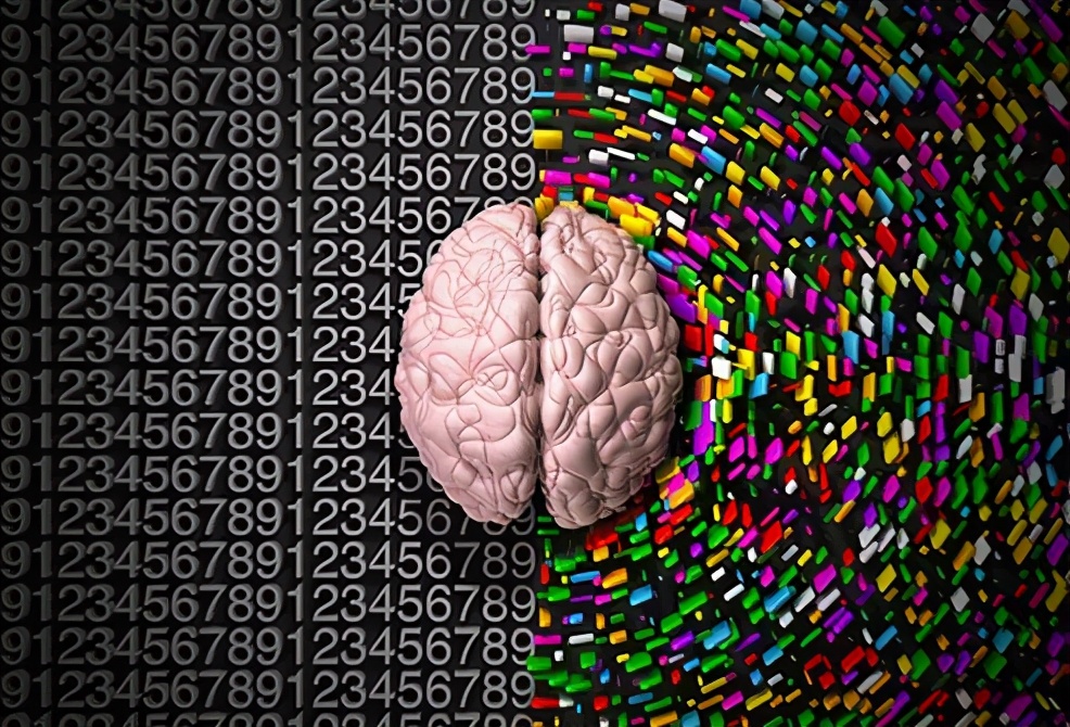 大脑失去一半会怎样,人类没有了大脑还能活吗