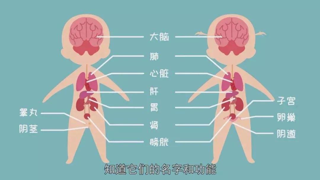 面对有心理问题孩子的最好办法,面对孩子的各种问题