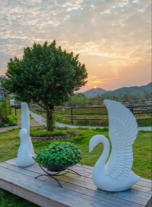 藏于稻田竹海中的增城轻奢民宿,广州增城中新镇三天两夜民宿推荐