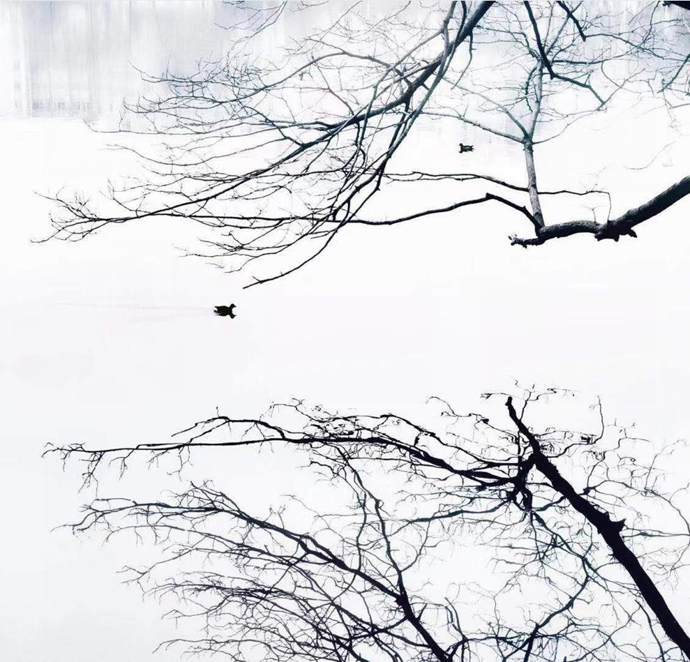 象策学堂（一）∣慢、稳才能快，提升摄影水平的捷径就是少走弯路