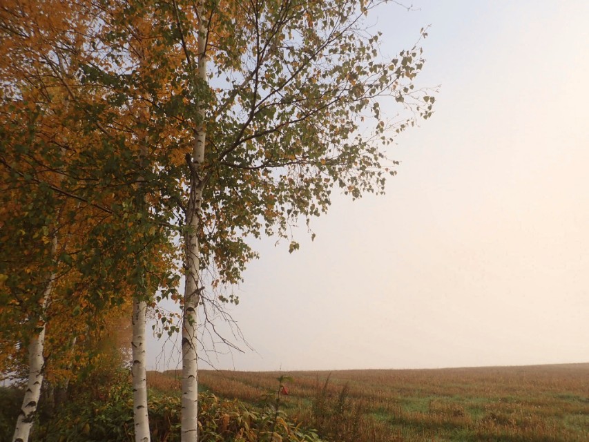 日本从南到北旅游路线,从南游到北