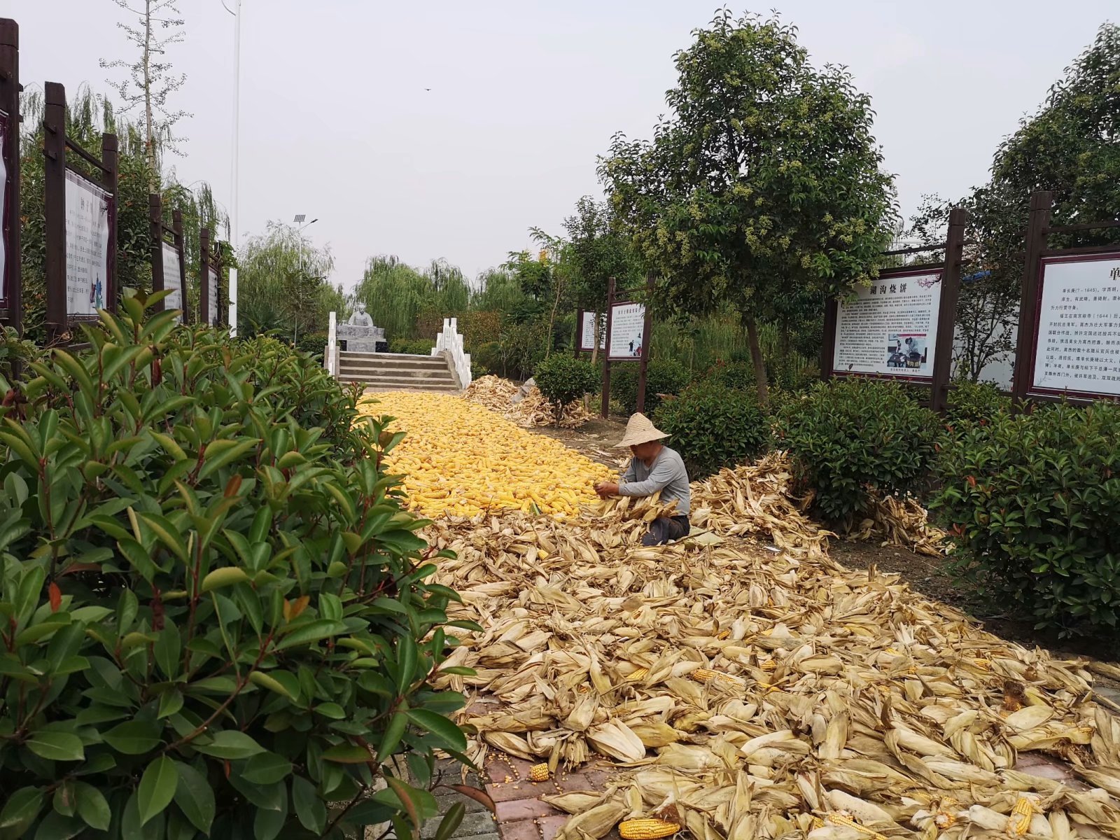 俞伯牙墓为什么在固镇,俞伯牙墓出土