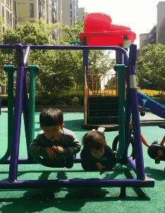 这只鹦鹉一直以为他是一只猴，所以每天都在重复做这个动作