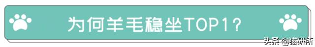 为什么猫咪沉迷吃手指,猫咪为啥沉迷红点