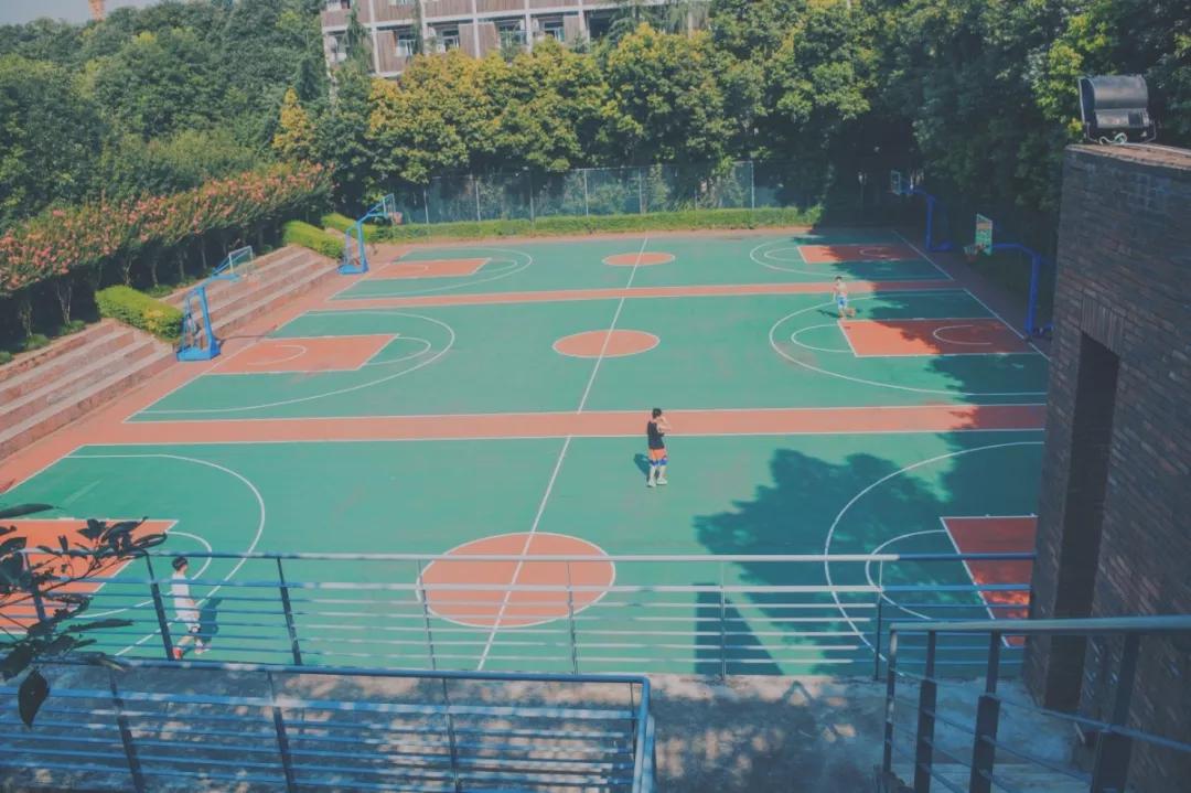 四川国际标榜学院的王牌专业,四川国际标榜职业学院网红