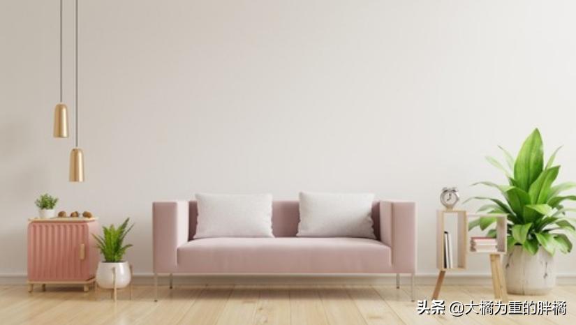 家里养猫咪怎么让它不乱抓,养猫怎么防止猫咪弄乱家里物品