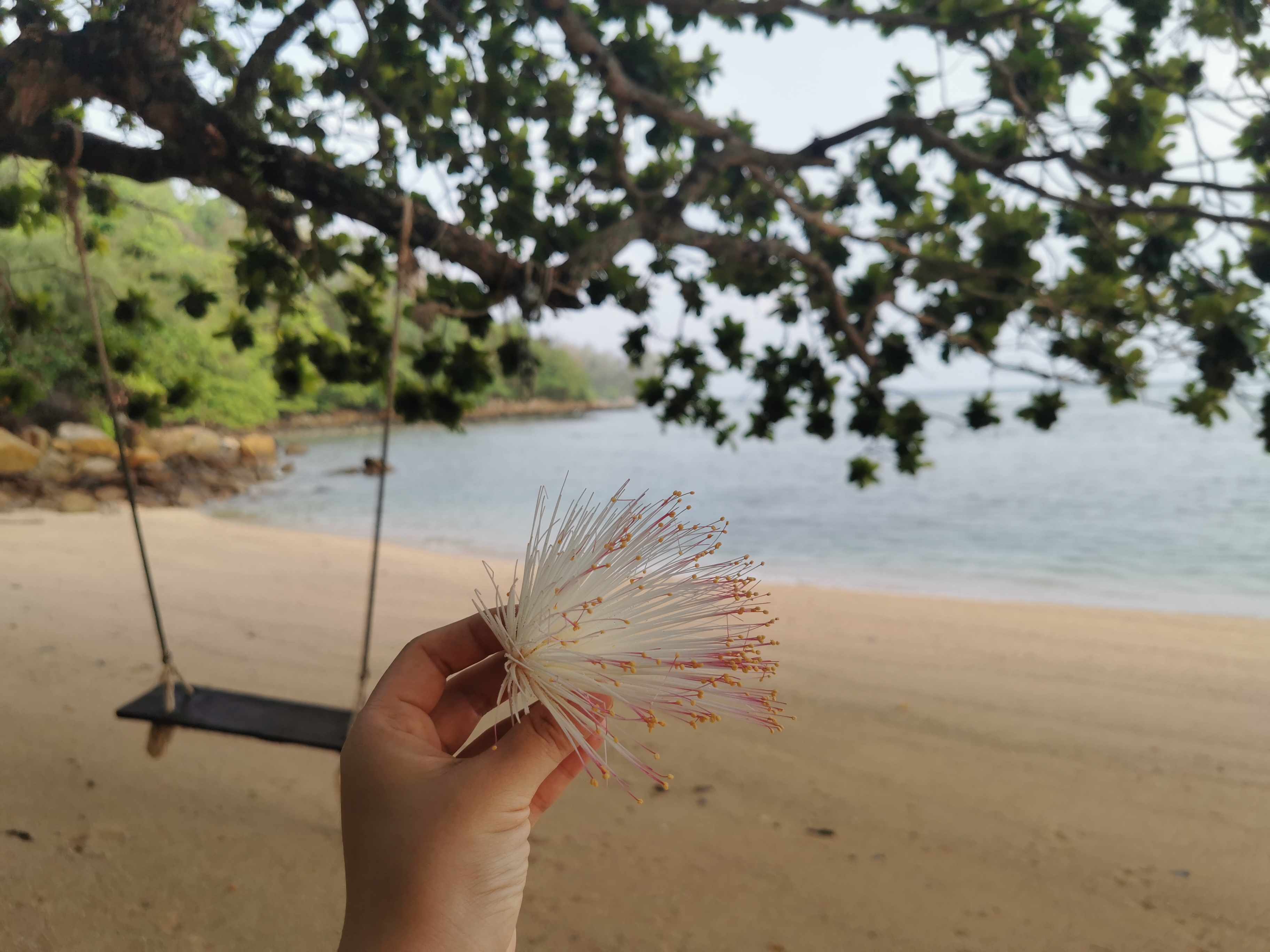泰国普吉岛开民宿投资多少钱,普吉岛民宿多少钱一个月